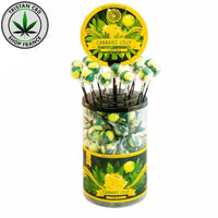 Sucette Cannabis Lemon Haze | tristancbd.com