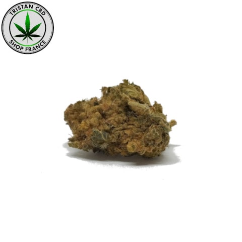 Maxi joint pur HHC 20 NL | tristancbd.com