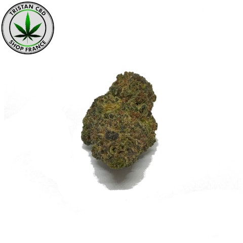 MINI HHC SANS TABAC | tristancbd.com