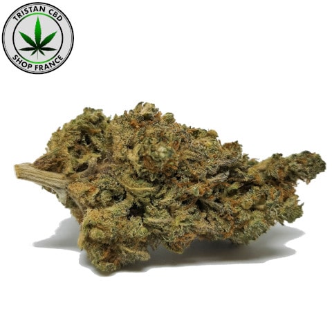 Mini cigarette de CBD sans tabac suisse | tristancbd.com