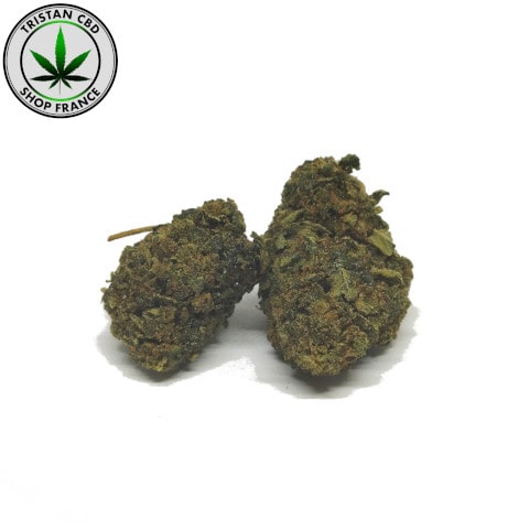 Pré rolls mini  hhc puissantes 50 | tristancbd.com