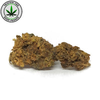 HHC NL 20 Joint cannabis pur Amsterdam | tristancbd.com