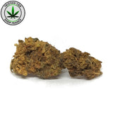 HHC NL 20 Joint cannabis pur Amsterdam | tristancbd.com