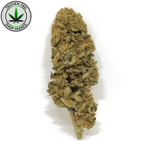 Cigarette au CBD CANDY KUSH MAXI | tristancbd.com