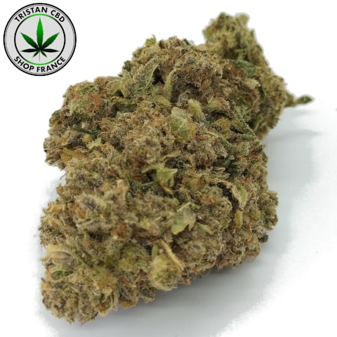 Acheter Cigarette MAXI CBD Heisenberg Puissant | tristancbd.com